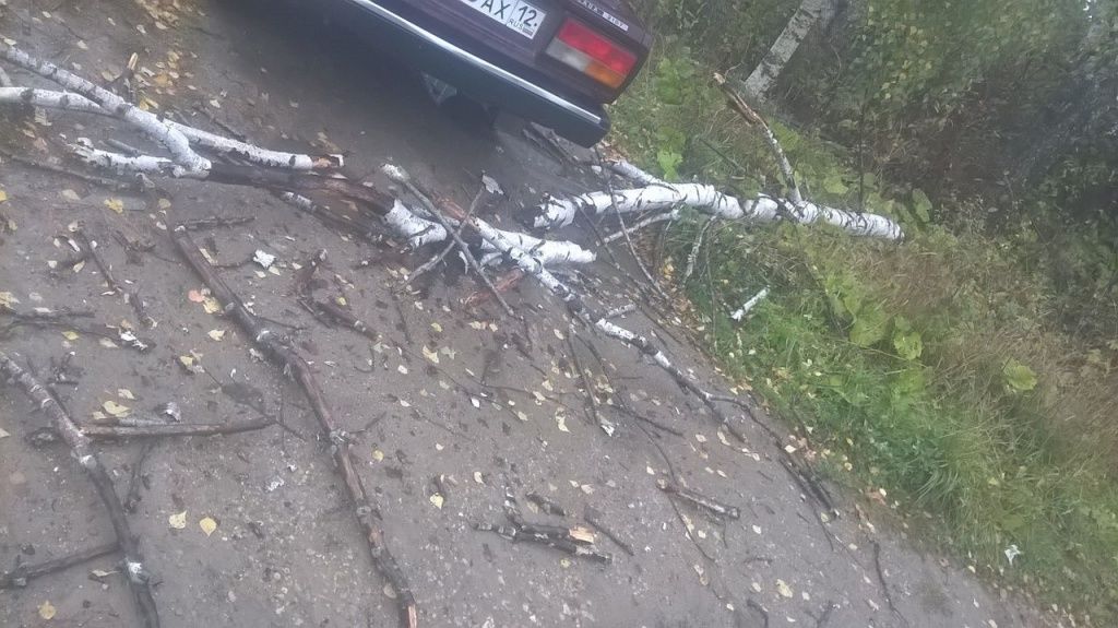 Лёха Мокрушин.jpg Лёха Мокрушин.jpg